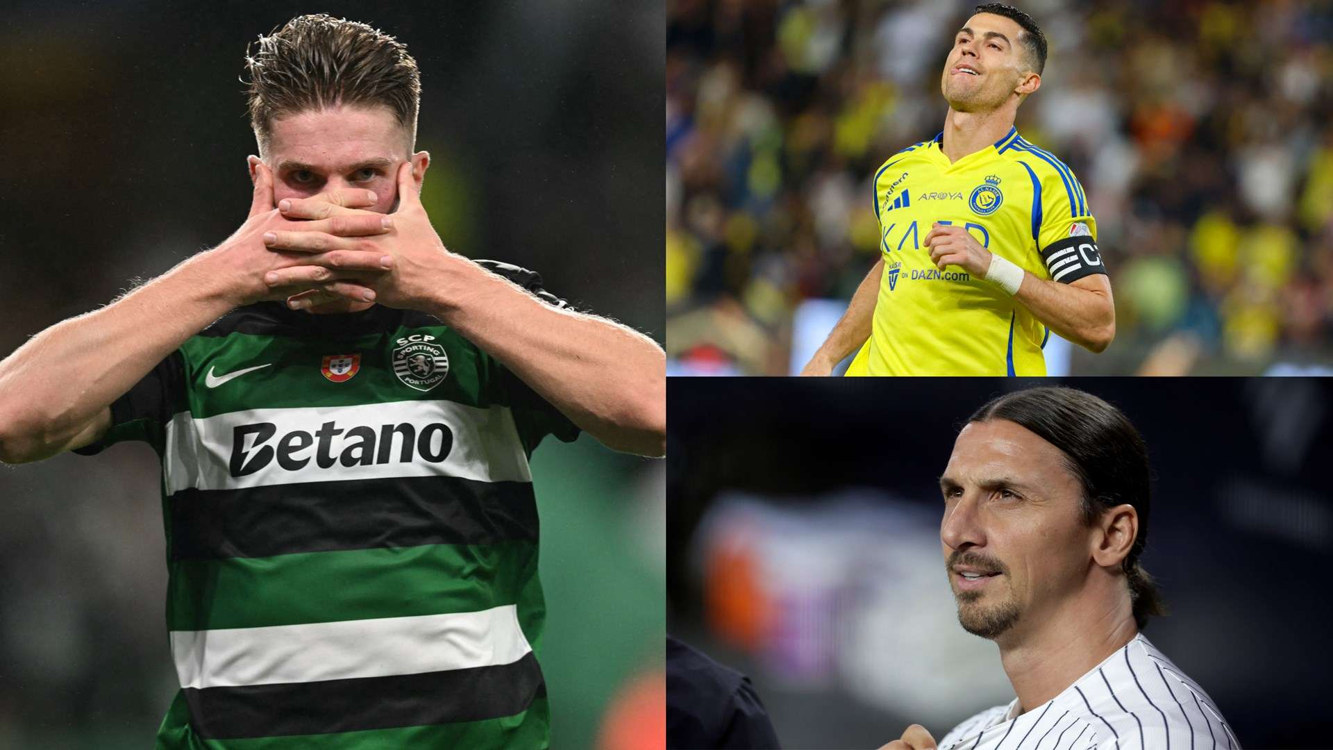 致球迷的流 致球迷的流